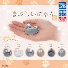mabushiinyan cat Complete set 6 Capsule Toy Gacha JAPAN JP Shipping Free NEW