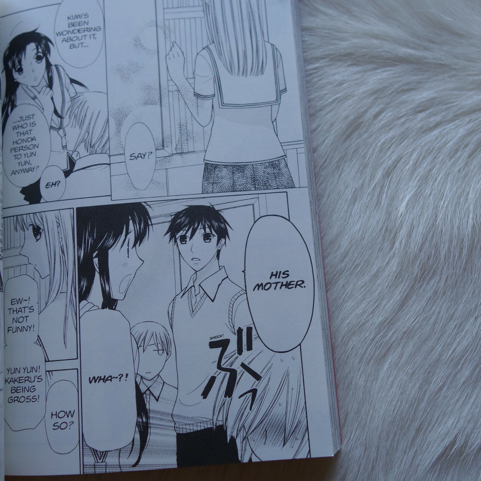 FRUITS BASKET Vol 21 Natsuki Takaya Manga FRUITS BASKET Manga eBay