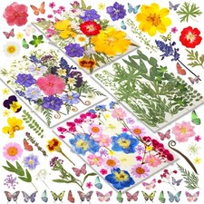 120 St&uuml;ck bunte Getrocknete Gepresste Blumen mit Schmetterlingsaufklebern. Echte