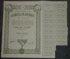 Societe Anonyme Belge Lukolela-Plantations 1961