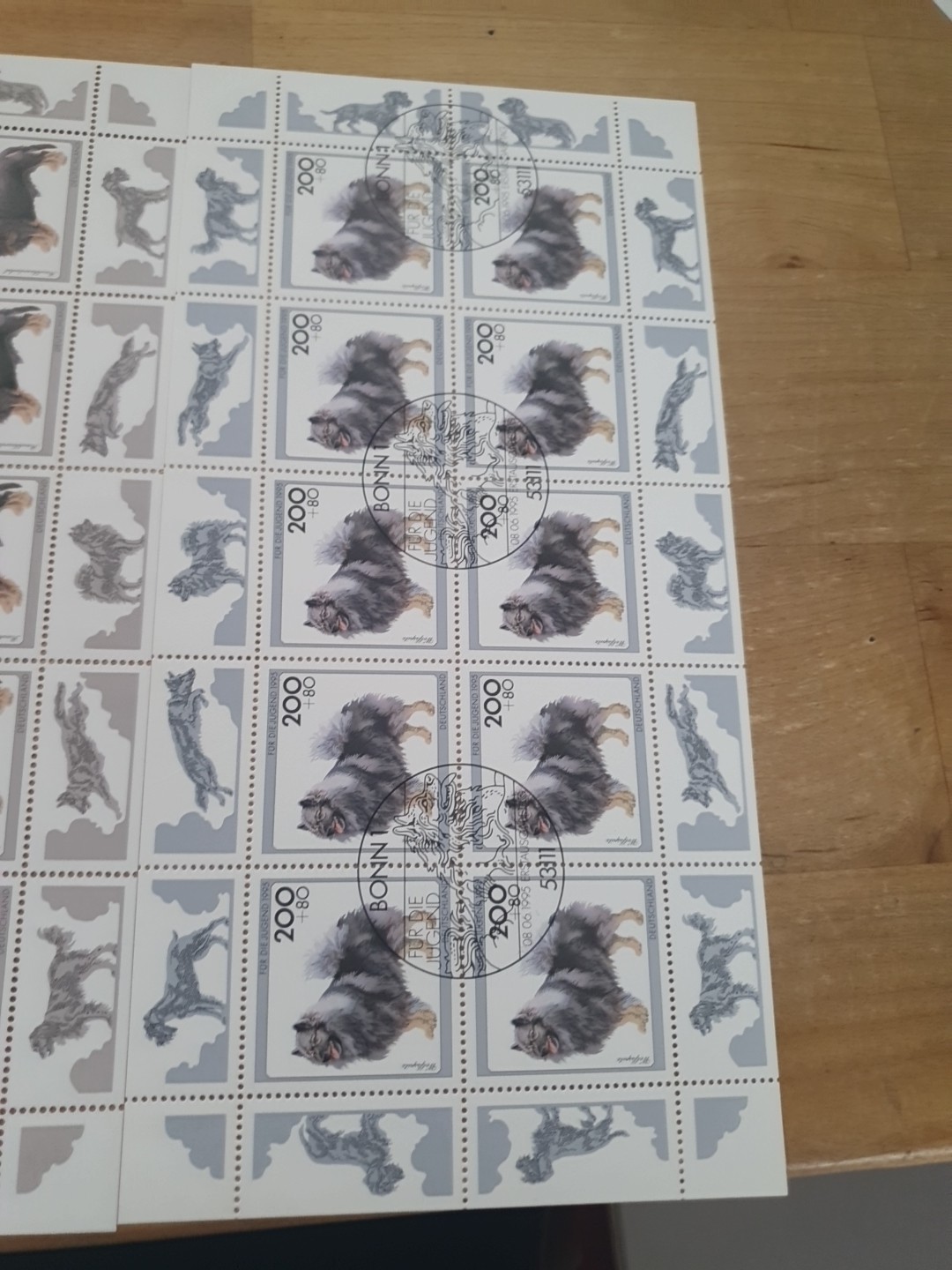 Bild 6 von 6