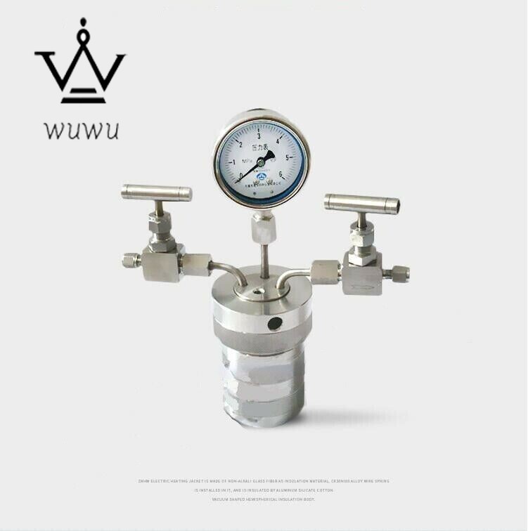 Hydrothermal synthesis Autoclave Reactor vessel + inlet outlet gauge 100ml 6Mp
