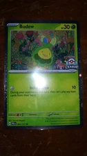 Pokemon TCG 1x Budew Premier Ball League Exclusive PRE 004/131 Holo English