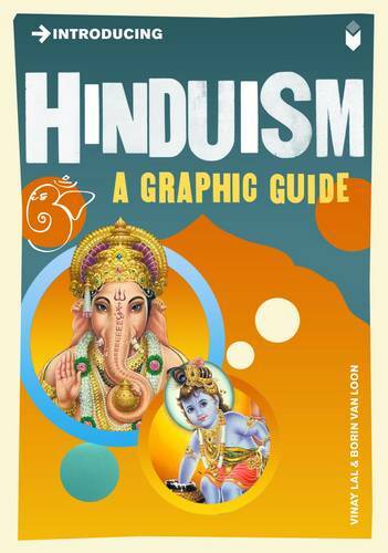 Introducing Hinduism, Vinay Lal,Borin Van Loon, Like New Book