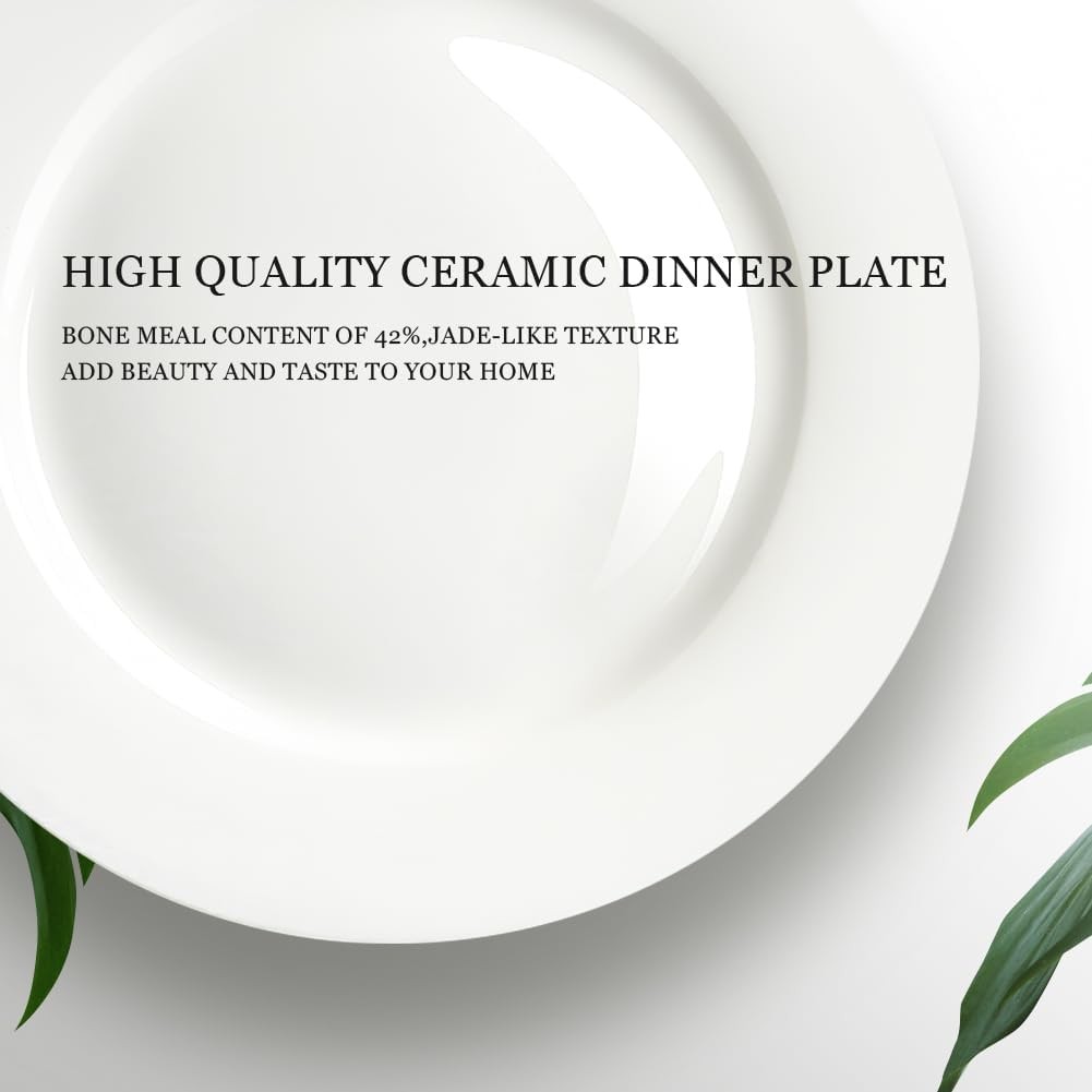 IQCWOOD 6.5 Inch Porcelain Plate Set of 6, inches, White dessert plates 