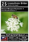 Bild 4 von 7