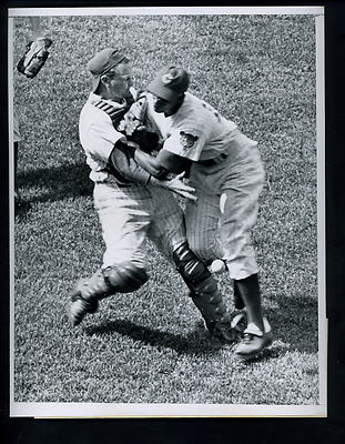 Ernie Banks & catcher Merritt Renew collide 1964 Press Photo Chicago ...