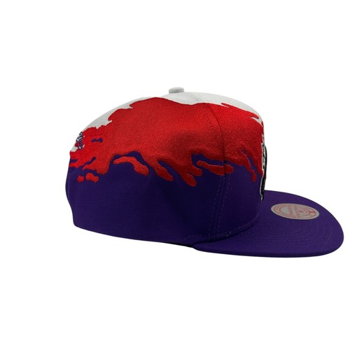 Mitchell & Ness Toronto Raptors Paintbrush Adjustable Snapback Hat Cap - Picture 6 of 10
