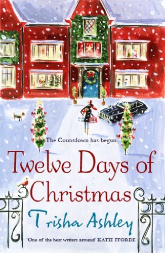 Twelve Days of Christmas: A bestselling Christmas read to devour in one sittin,