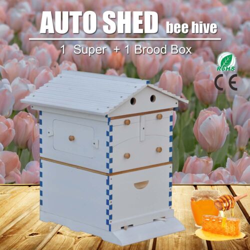 Grandes ruches peintes à flux automatique boîtes à abeilles apiculture couvain boîte en bois super boîte - Photo 1 sur 5