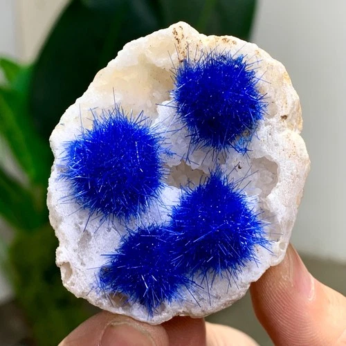 45G Natural Crystal Rare Moroccan blue magnesite+quartz coexisting specimen