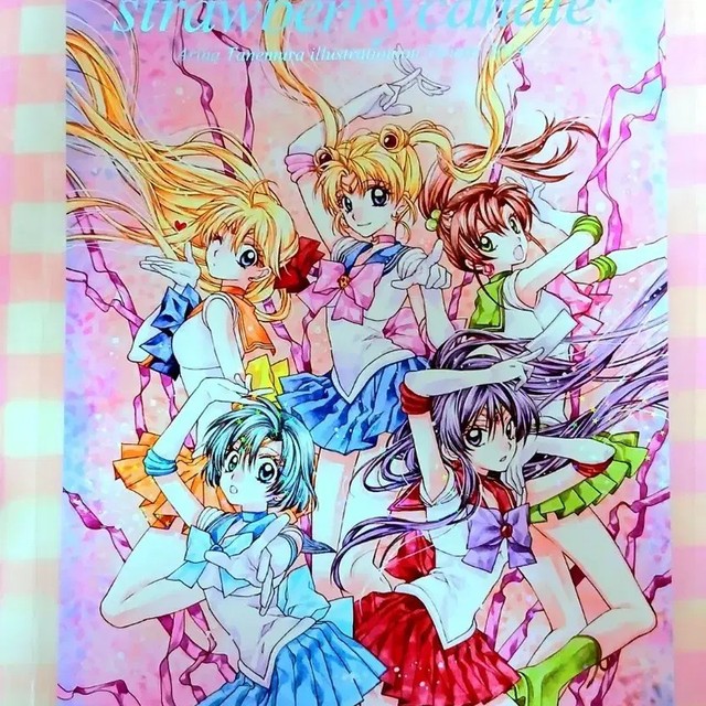 Tanemura Arina Doodle & Sketch Comic Book, Pre-Owned