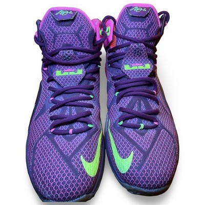 Nike LeBron 12 Double Helix 684593-607 Merlot Pink Volt Silver Sz 8.5 Pre-owned