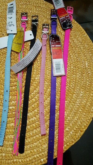 gucci dog collar ebay