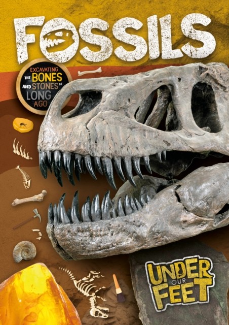 Fossils by Kirsty Holmes (Paperback Book)