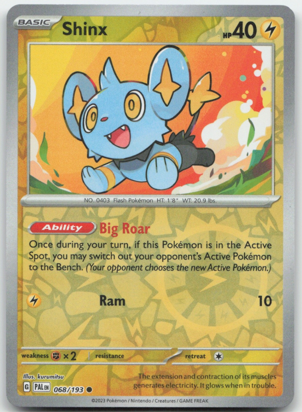 Shinx