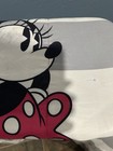 Disney Minnie Mouse Twin Microfiber Comforter 64x86 Pink Gray White and sheets — photo 7