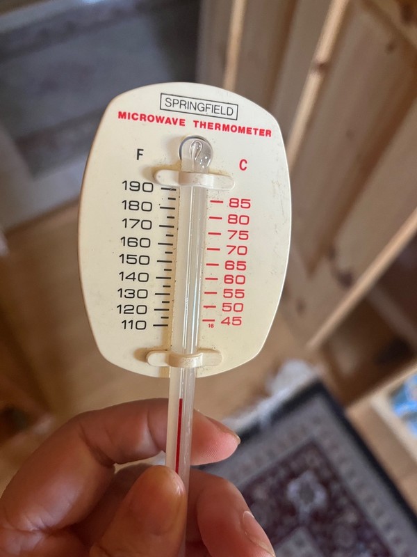 Vintage Springfield Microwave Thermometer great condition
