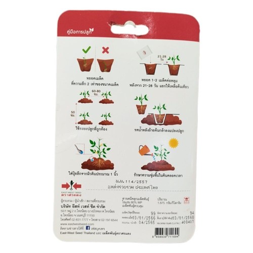 Yellow pepper hybrid Daothong Sorndaeng Asian vegetable Thai kitchen gardenx6pc - Picture 3 of 8