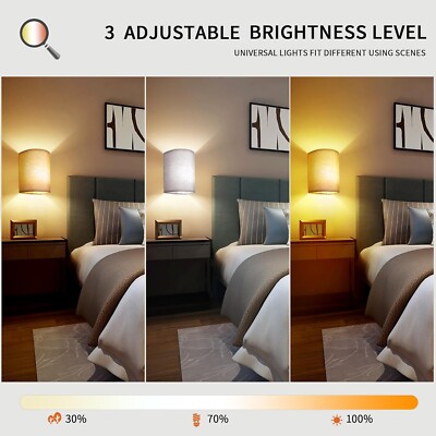 2 Neoglint 16 RGB Lamp Sconces - remote control, battery power