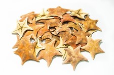 Bat Starfish Sea Shell Beach Wedding Real Craft 3" - 4" (100 pcs) #JC-053