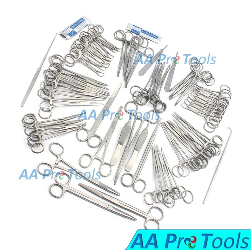 Set Di Modelli Di Cranio Felino E Canino IM3 - Foto 7