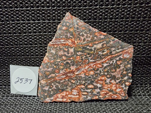 Gorgeous RED Leopard Skin Jasper, Incredible Colors and Design, Mexico - Picture 5 of 8