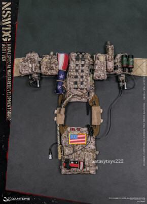 DAMTOYS 1/6 78065 Naval Warfare WNSWDG-AOR1 Camouflage Ver Action