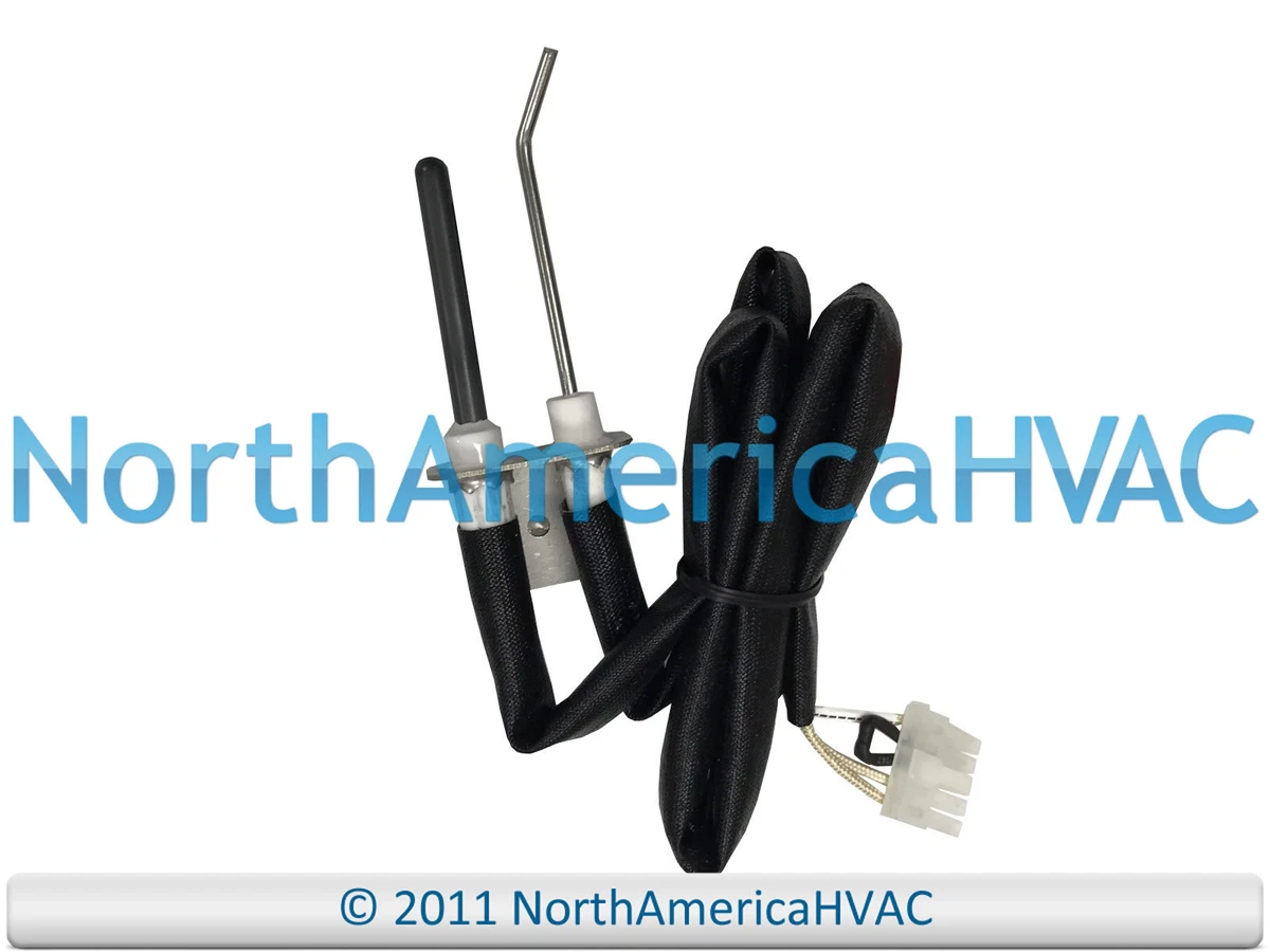 Water Heater Ignitor Igniter Fits A.O.Smith u0026amp; Flame Sensor Assembly  9003626005 | eBay