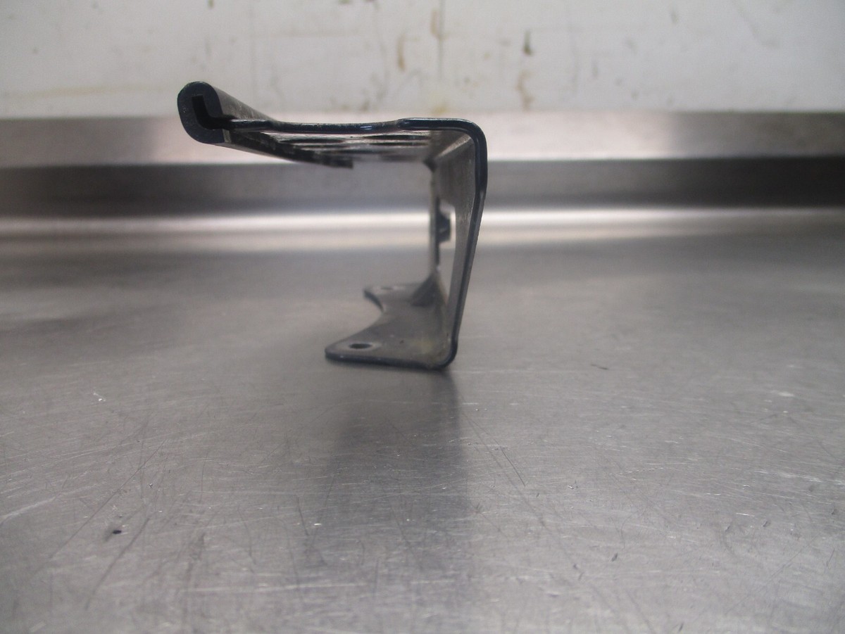 ウルフズヘッド ロックアウト ウルフズヘッド スタッズブレス 50mm WOLF'S HEAD ブラウン