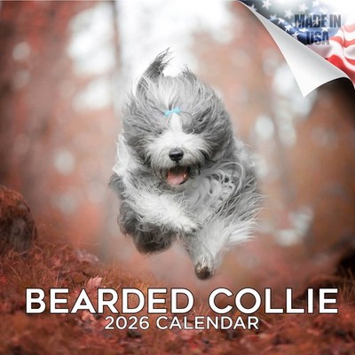 Bearded Collie Dog Breed Calendar 2026 FULL SIZE 12x24 Made in USA