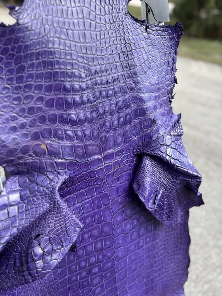 Caimán salvaje genuino curtido profesionalmente en púrpura Foto 3 de 4