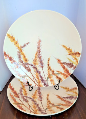 11'' Dinner Plates Whispering Wheat By Kirkland's Discontinued Replacement x2