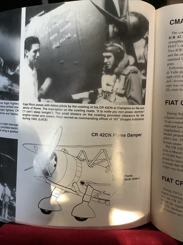 Fiat CR32/CR42 in Action by George Punka (2000, Trade Paperback) #172 - Foto 13 di 15