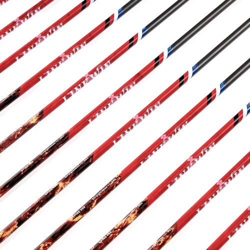 Carbon Arrows 30 inch Spine 300 340 400 500 for Compound Recurve Bow Hunting - Imagen 35 de 36