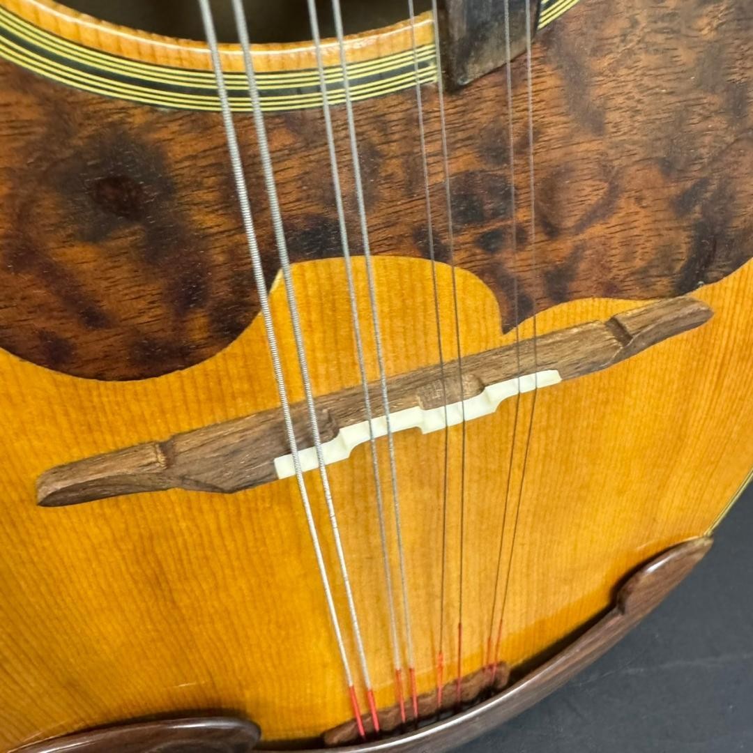 Suzuki Violin Nagoya M-30 Mandolin Stringed Instrument Western | eBay