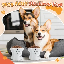 2 Pack Elevated Dog Bowls Cute Ceramic Raised Bowl Nonslip Water Dogs Dishwasher