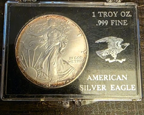 1993 American Silver Eagle 1 oz .999 Fine Silver Dollar Walking Liberty Coin