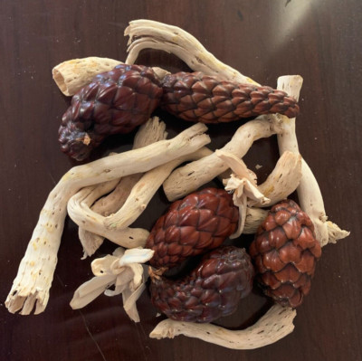 Lot of Thika Pods & Natural Wooden Crop Root decor dried basket garden crafts