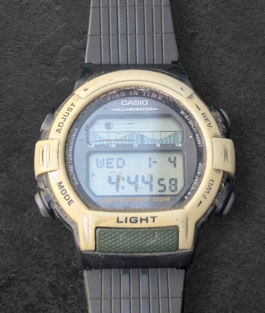 Casio Fish In Time FT-201 Digital Watch Working With New Battery