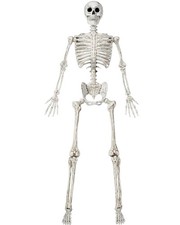 83inch Halloween Lifesize Posable Skeleton Bones With Moveable Joints