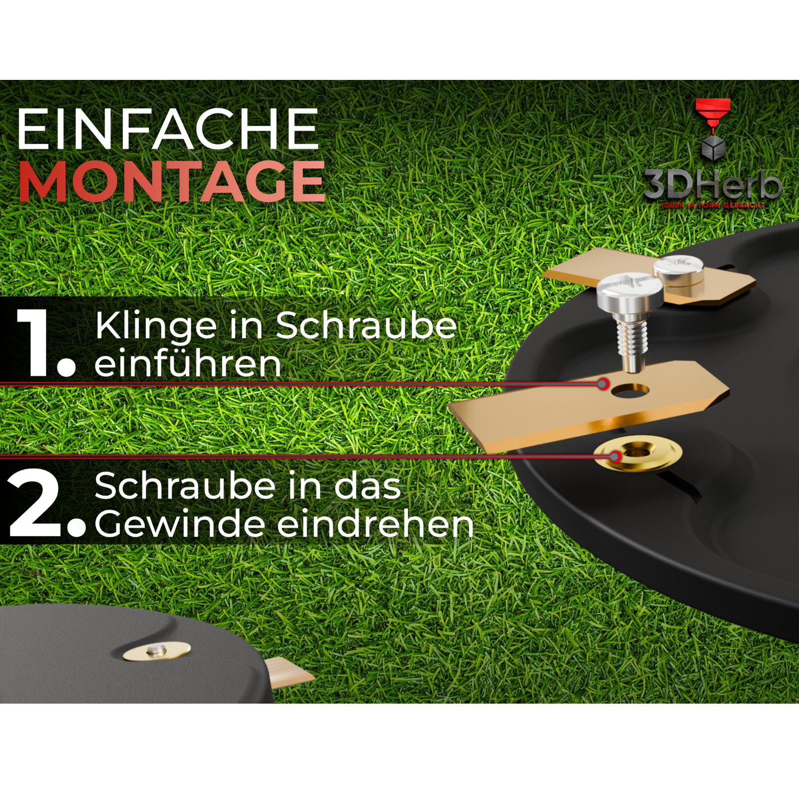 Bild 3 von 6