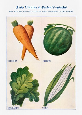 10094.Decor Poster.Room home wall Interior art design.Kitchen vegetables.Cook