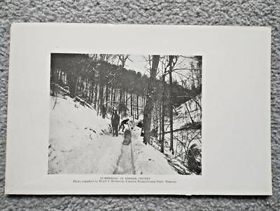 Holzfäller in Potter County, Pennsylvania - antiker Druck - 1919
