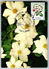 #3197 Pacific Dogwood Maxi Card