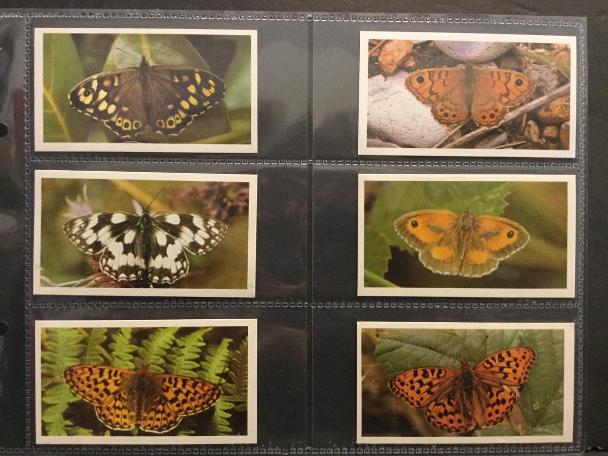 1983 Grandee / Player British Butterflies Set of 32 Cards Sku269S