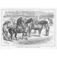 The Cart Horse Show at Islington - Parade of Prize Winners - Antique Print 1882