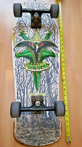 Powell Peralta Tony Hawk | eBay