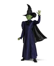 WICKED THE MOVIE Elphaba Halloween Costume Girls Size 6-6X NEW