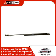 Verin de hayon / de capot Fiat 500